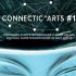 connectic-arts_transcultures-2012