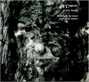 48 Cameras & Eric Therer – Before Me Lay Some More Dark Waters (2009)