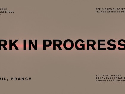 13-12-2014 – Park in progress#13 – European night of the young creation – Montreuil