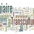 transcultures-stagiaire-administration