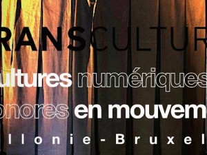 Dossier Transcultures dans le Turbulences Video​ #89 – octobre 2015