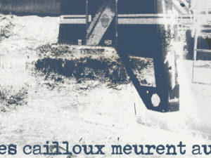 30.06.2022 | Les cailloux meurent aussi – Mathilde Schoenauer Sebag (Fr/Be) | La vieille Chéchette (Be)