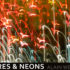 Alain_Wergifosse-SPECTRE_et_NEONS-Exposition-Banner-Galerie_KOMA-Transcultures-2022