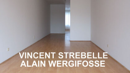 23.11 > 15.12.2024 | Alain Wergifosse / Vincent Strebelle – Exposition | Kamer Negen / K9 (Rixensart – Be)