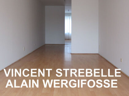 23.11 > 15.12.2024 | Alain Wergifosse / Vincent Strebelle – Exposition | Kamer Negen / K9 (Rixensart – Be)