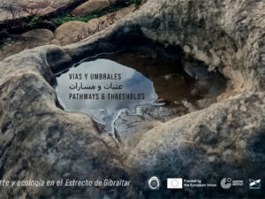 05 > 08.12.2024 | Arte y ecología en el Estrecho de Gibraltar – Open Studio Tarifa Facinas 2024 | Art Panorama (Es)