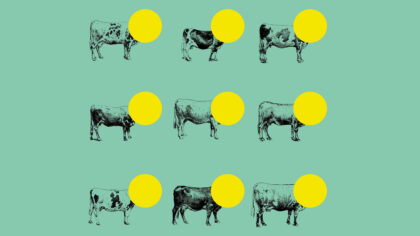 08.03.2026 > 24.05.2026 | Clémentine Correzzola (Be) @ “À la belle vue de l’abattoir” exhibition | Anciens Abattoirs de Mons (Be)