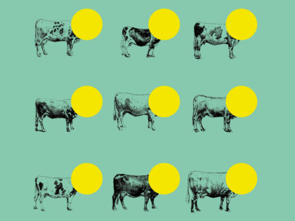 08.03.2026 > 24.05.2026 | Clémentine Correzzola (Be) @ Exposition « À la belle vue de l’abattoir » | Anciens Abattoirs de Mons (Be)